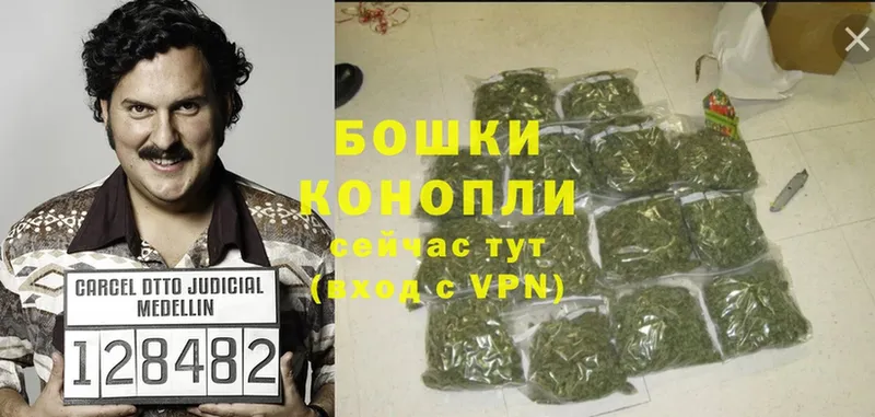 Конопля Ganja  где продают   Уржум 